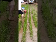 متعددة الوظائف آلة إزالة الأعشاب الضارة